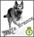 /album/real-mafia-branca/real-mafia-branca-9-jpg/